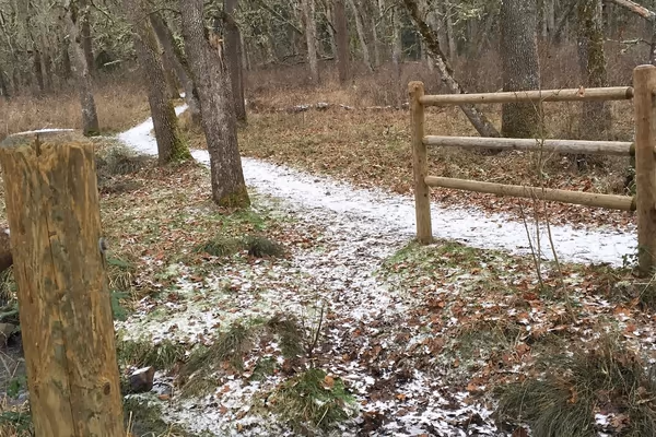 Dog Park at Wayne Morse Family Farm